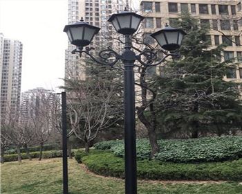 甘肅太陽能路燈案例-西安白樺林間