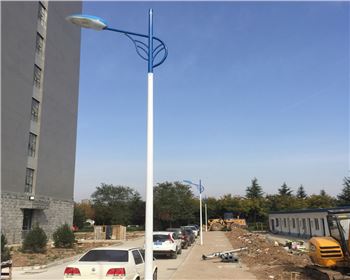 內蒙古市電路燈-內蒙古省西安市西北大學長安校區(qū)路燈工程